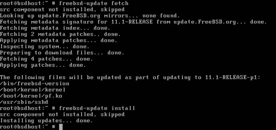 How to update FreeBSD