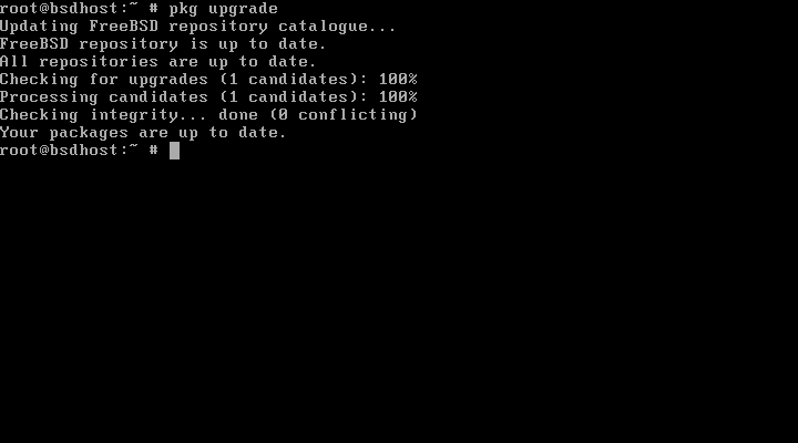 How to update FreeBSD 4 How to update FreeBSD